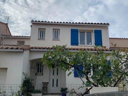 Gouttière et descente